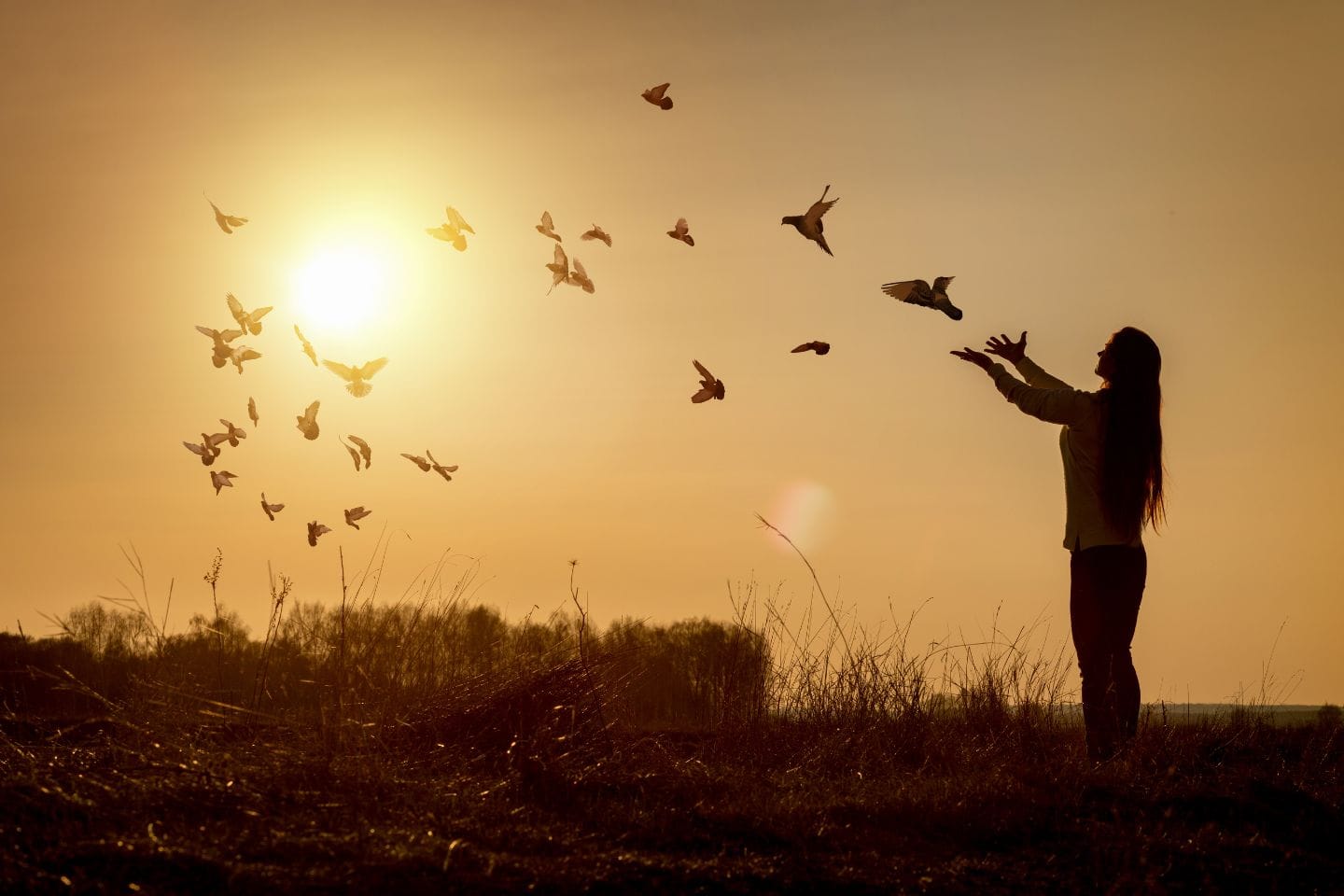 Silhouette of a person releasing birds into the sky at sunset in a grassy field.